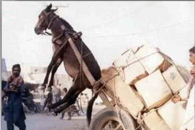 不道德的母亲里番