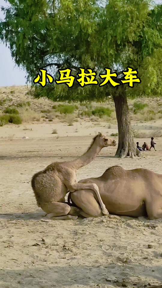 下面被陌生人扣好爽 生人爽如果感到被侵犯