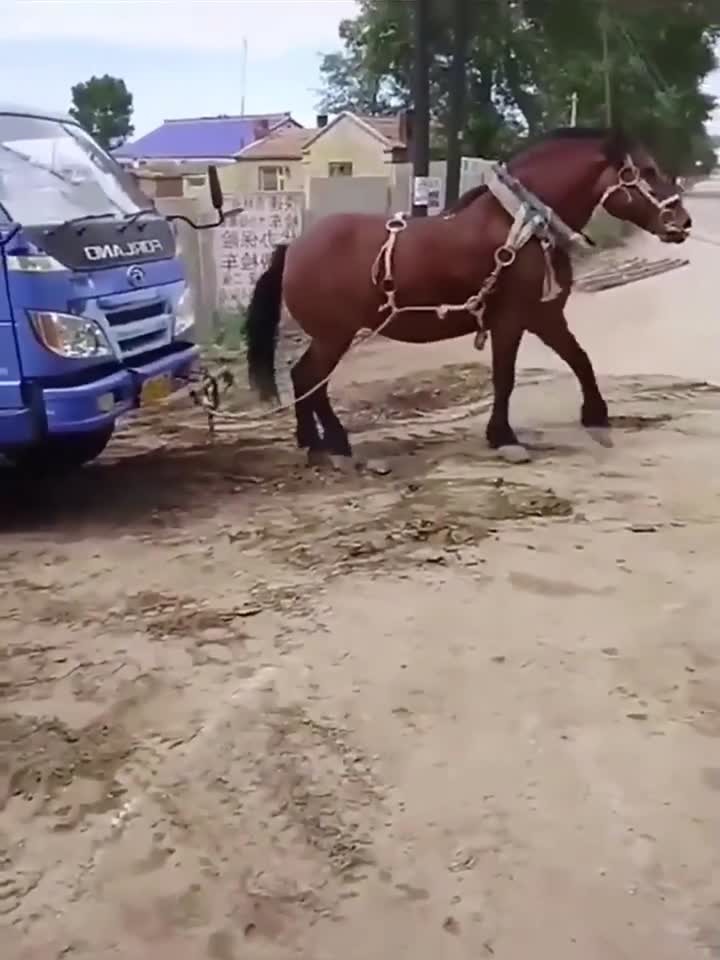 51今日大瓜热门大瓜