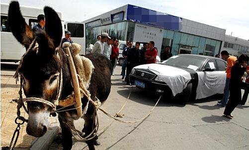 91国在线啪精品一区忘忧草 国线就会推荐给朋友