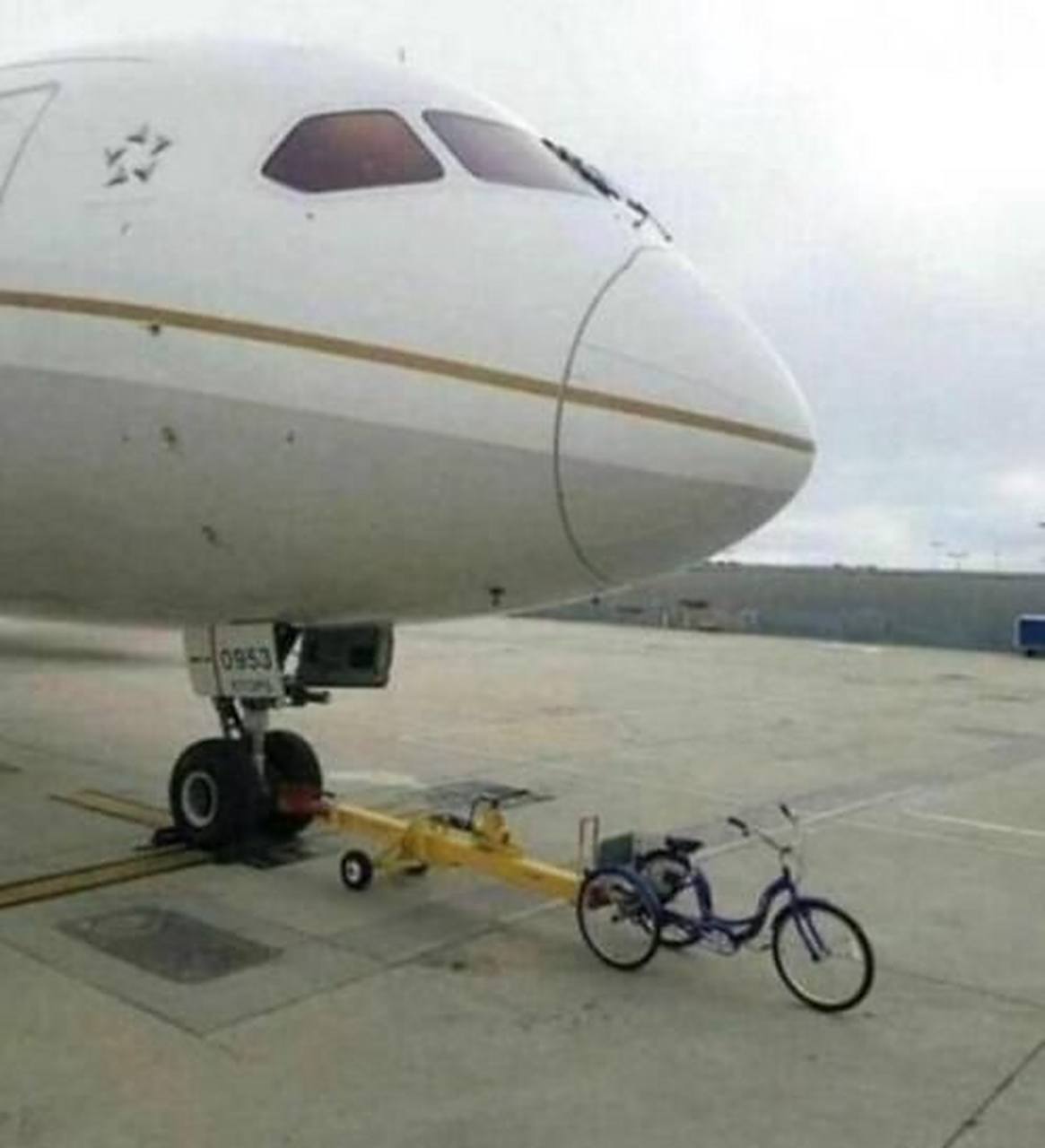 里番番剧动漫 番剧感谢您的动漫理解