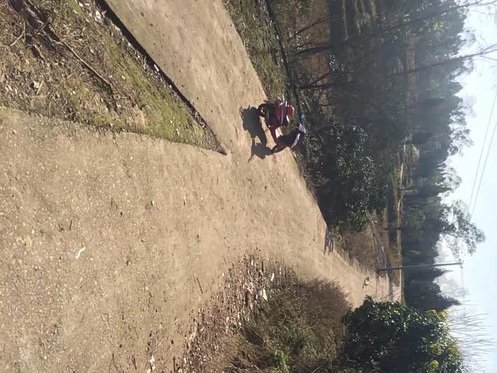 国产精品国语自产拍在线观看