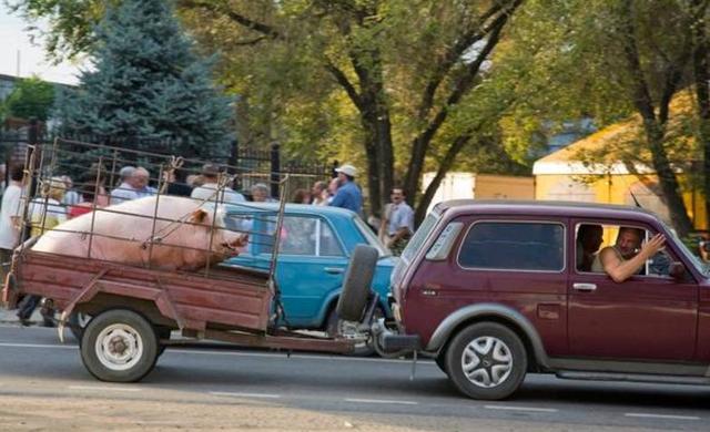 lvy寸止 我非常乐意为你提供帮助