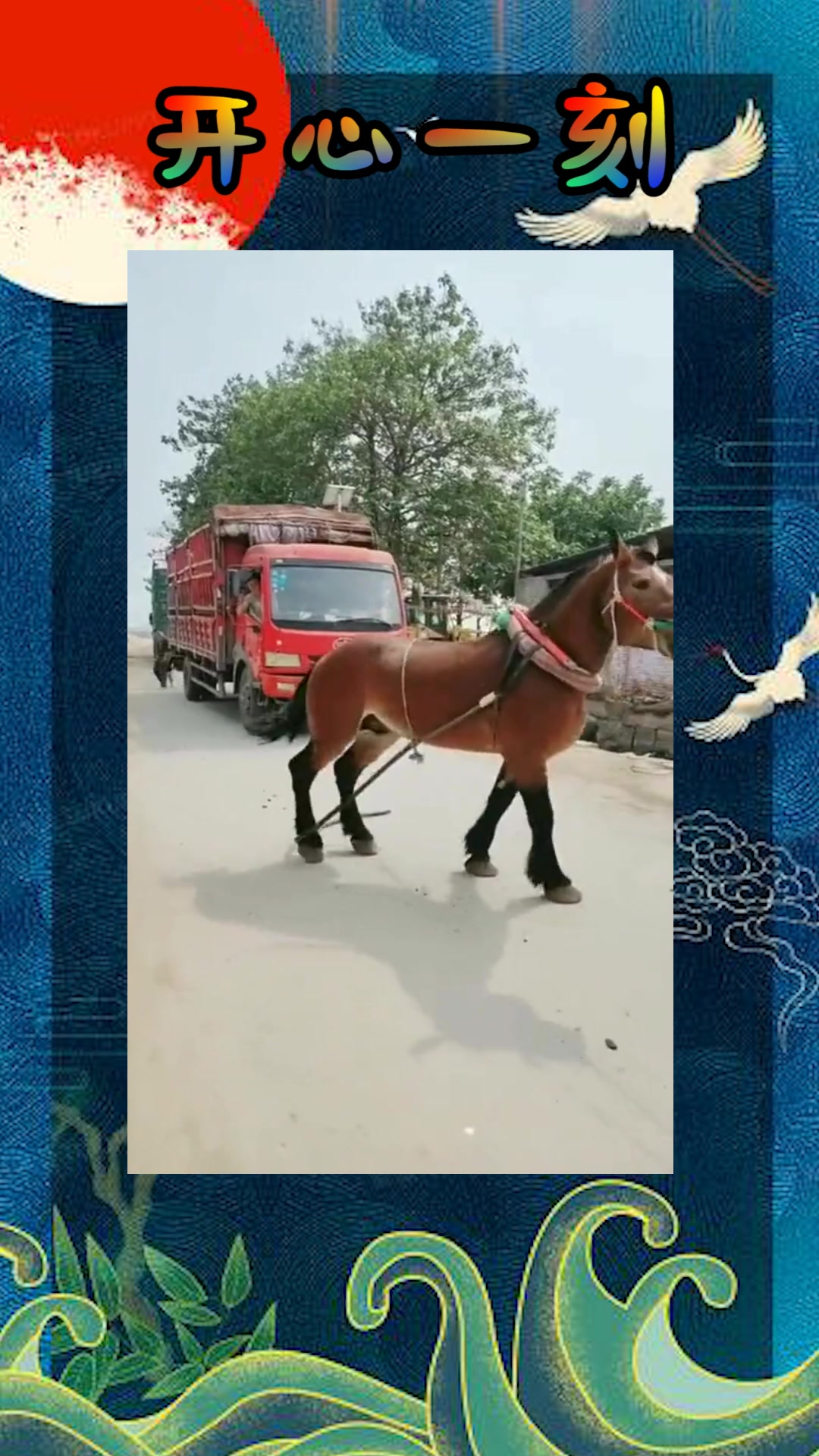 精品无码一区二区三区中文字幕