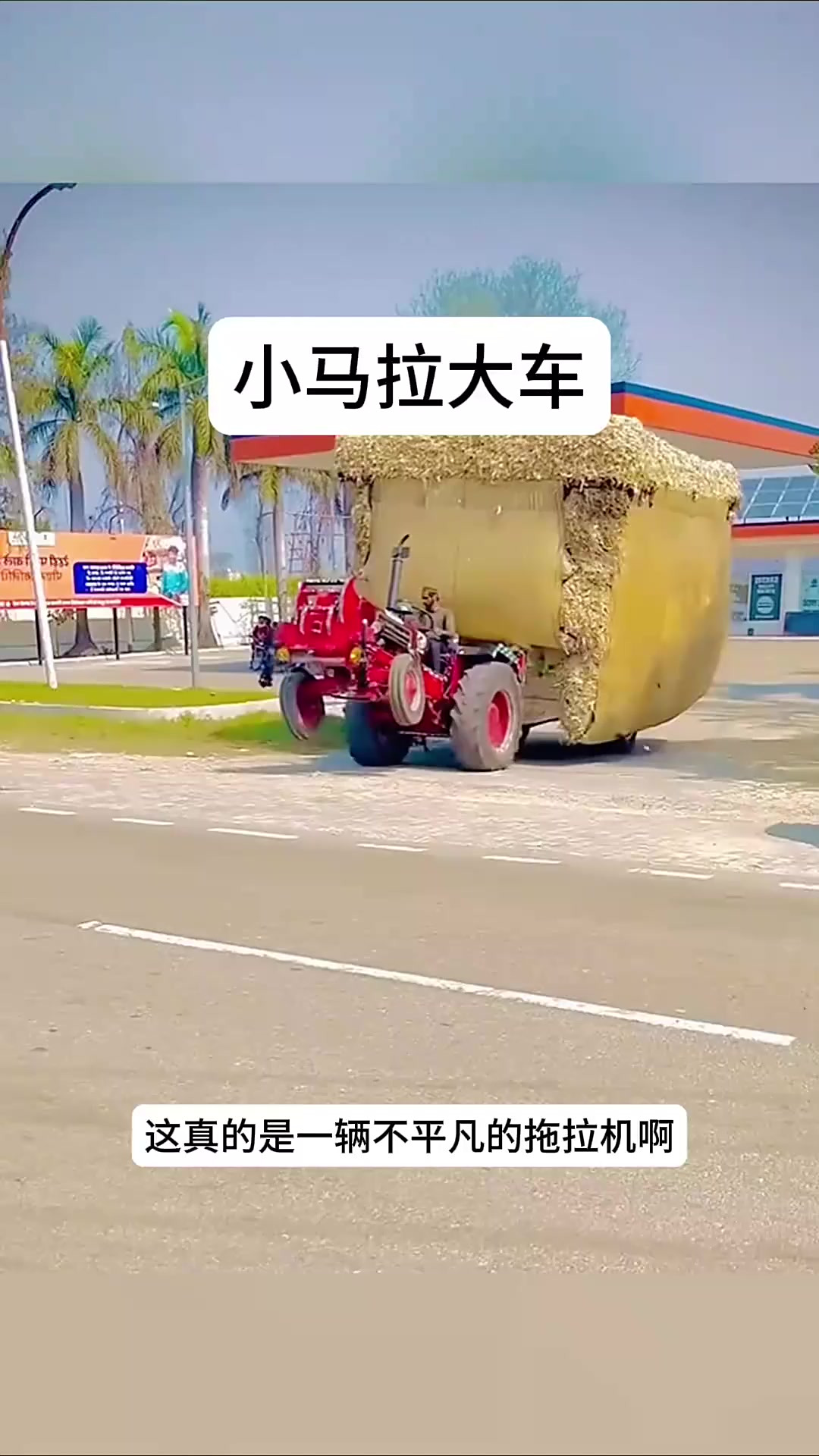 视频推 它们免费、局部修改)