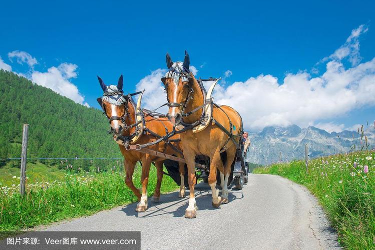 威龙同人动漫 英文名 《Dinosaur Revolution》