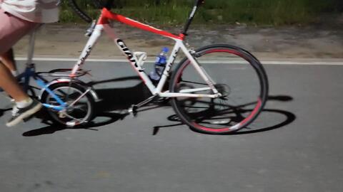 正经视频在线观看