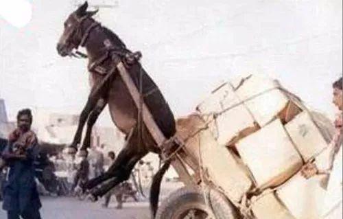 51吃瓜网中心入口