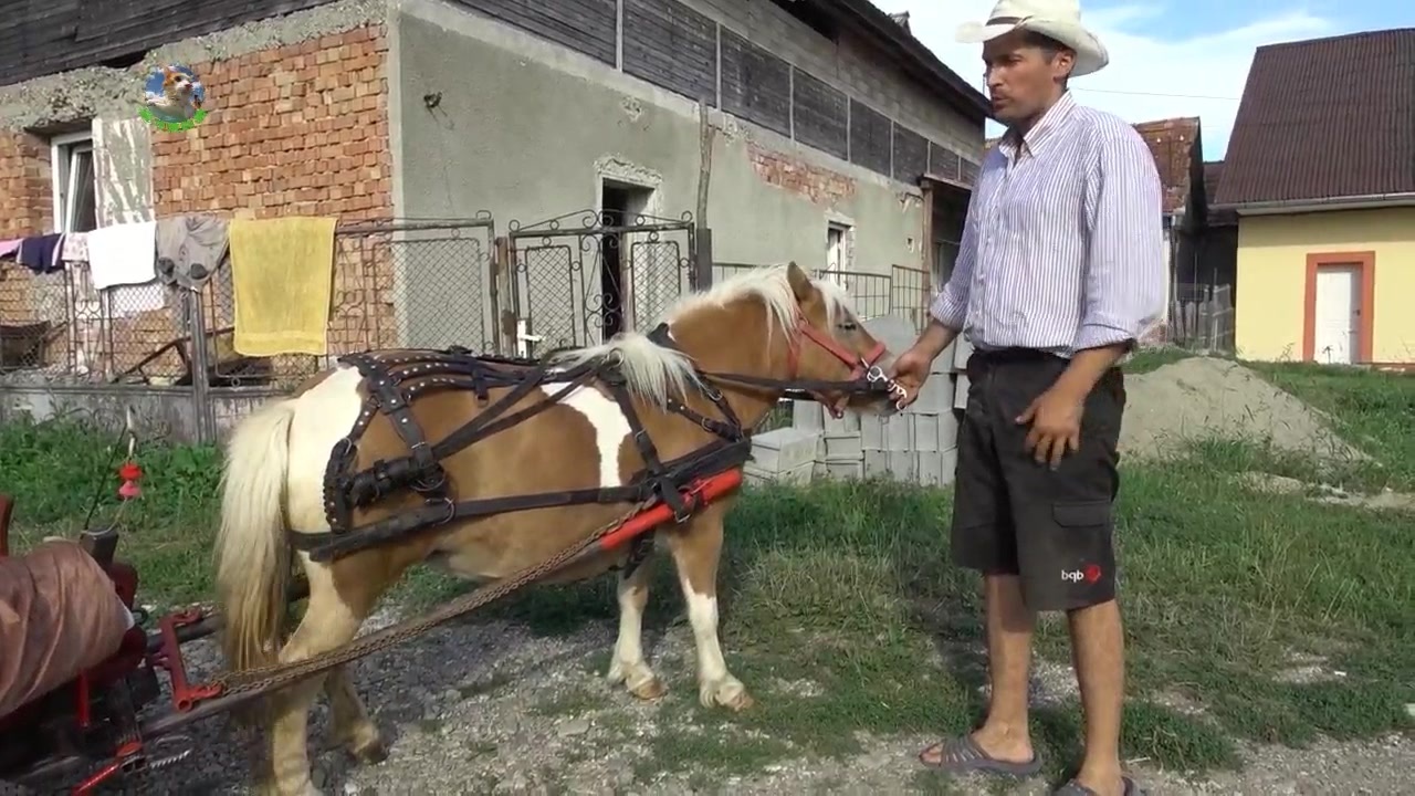 来一口蜜桃 口蜜桃或是口蜜桃蜜桃气泡水