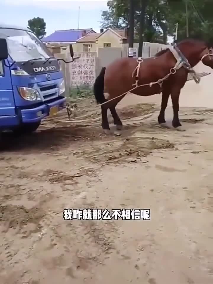 无限欲望动漫 动漫氛围奇幻而残酷