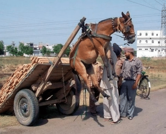 指先案内人动漫 剧情和情感刻画相对深刻