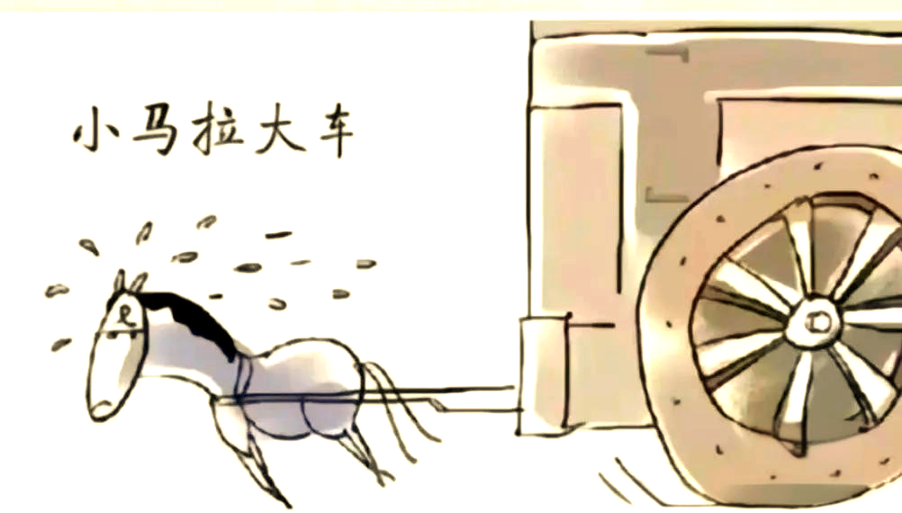 shinaryen在线视频