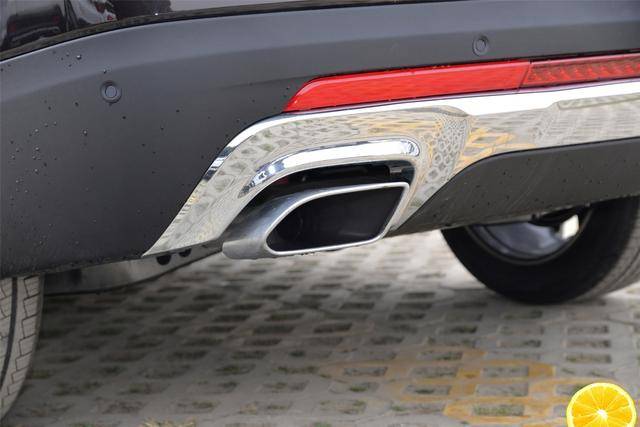 无间之道啄木鸟