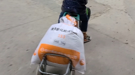 日本精品一区二区三区在线观看