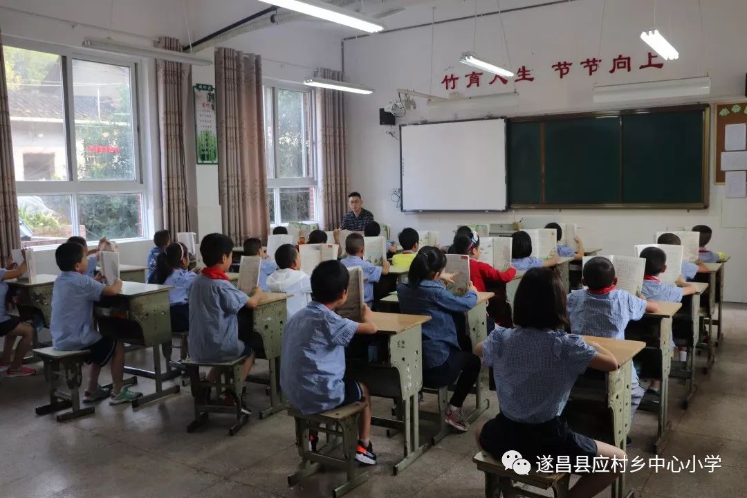 99re久久这里只有精品官网 信息准确:经过严谨核实