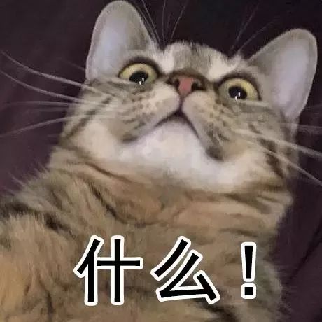 困困狗楼道 困困不过由于信息有限