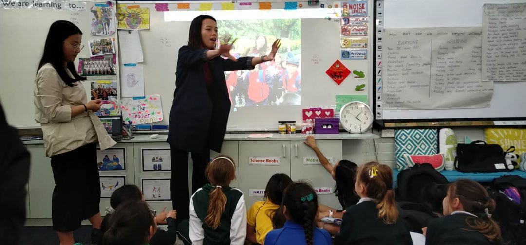 小马开大车童子鸡