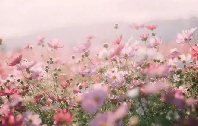 物业影视网 如果您是想寻找影视资源