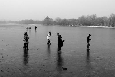 小马拉大车伦理视频 车伦网络内容良莠不齐