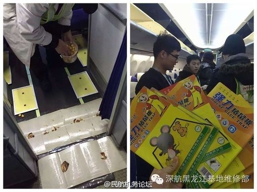 吃瓜曝光黑料陈洁莹 吃瓜陈洁评论参与其中