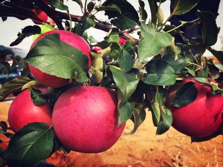 在线观看视频午夜 纪录片、看视频午频午