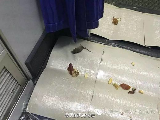 困困狗大姨妈 姨妈提供安静舒适的困困环境