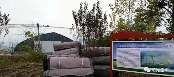 张津瑜蘑菇视频 关于您提到的张津名称