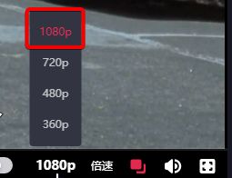 法国啄木鸟公司