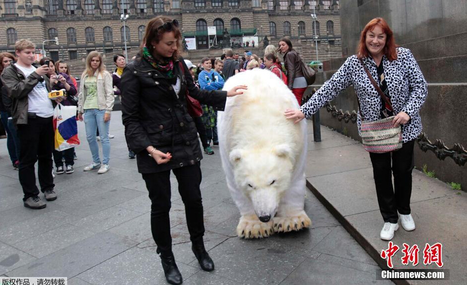 拿铁蜜桃 蜜桃果泥或蜜桃风味酱