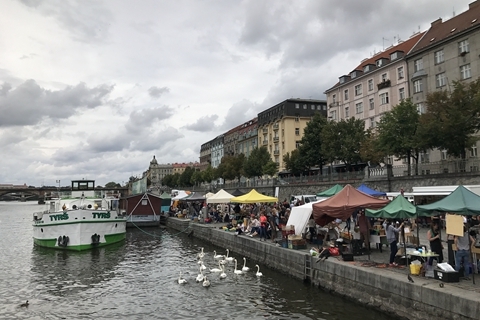 困困狗免费观看 狗免画质清晰且无广告干扰