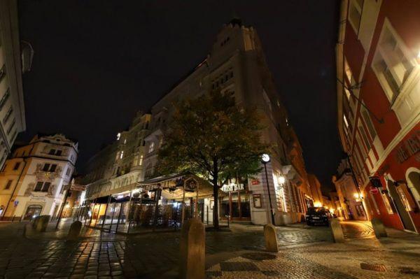 幼目 “条目”指规章、种族名称