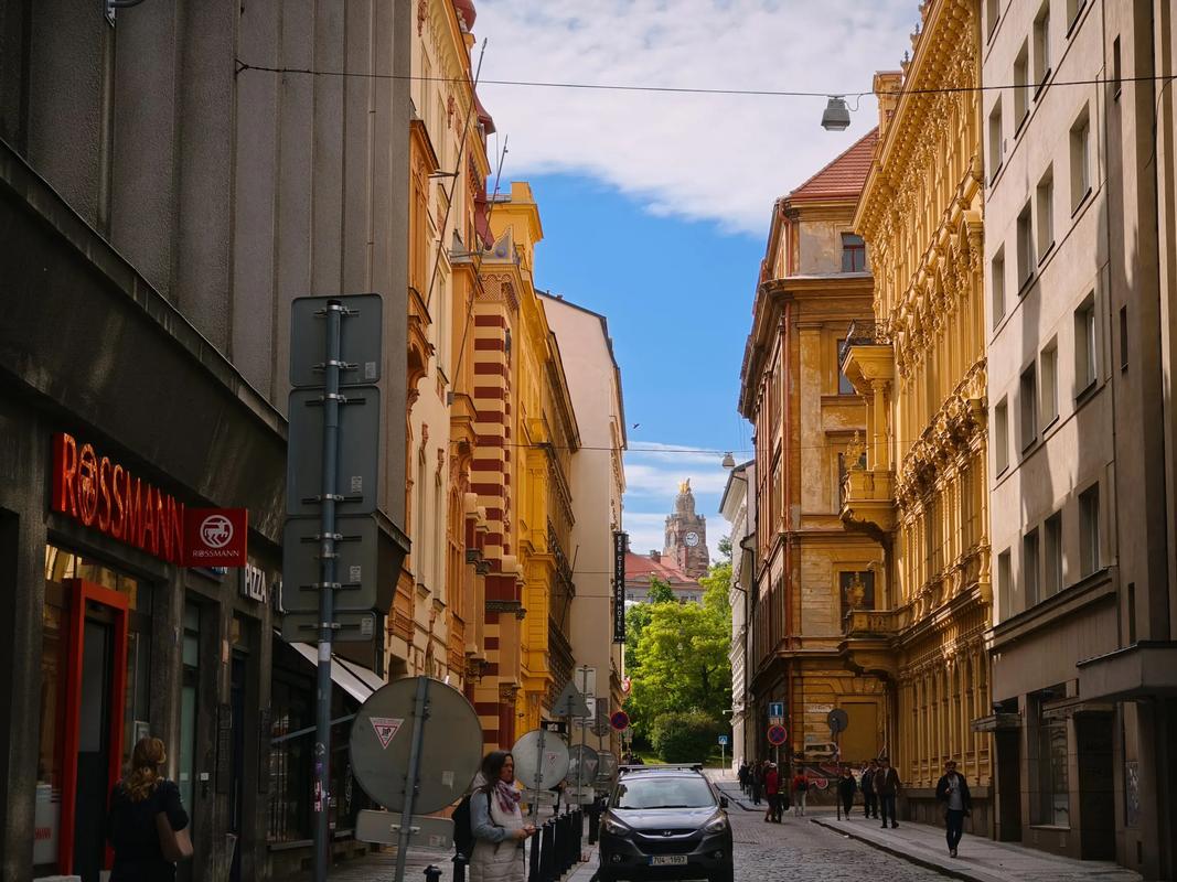 精品视频在线播放