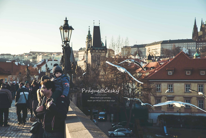 3d漫画网站推荐