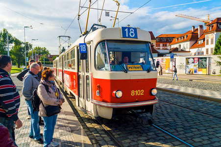 99视频精品全部在线观看