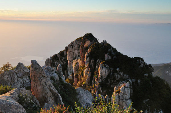 9612黄桃网站进入页面