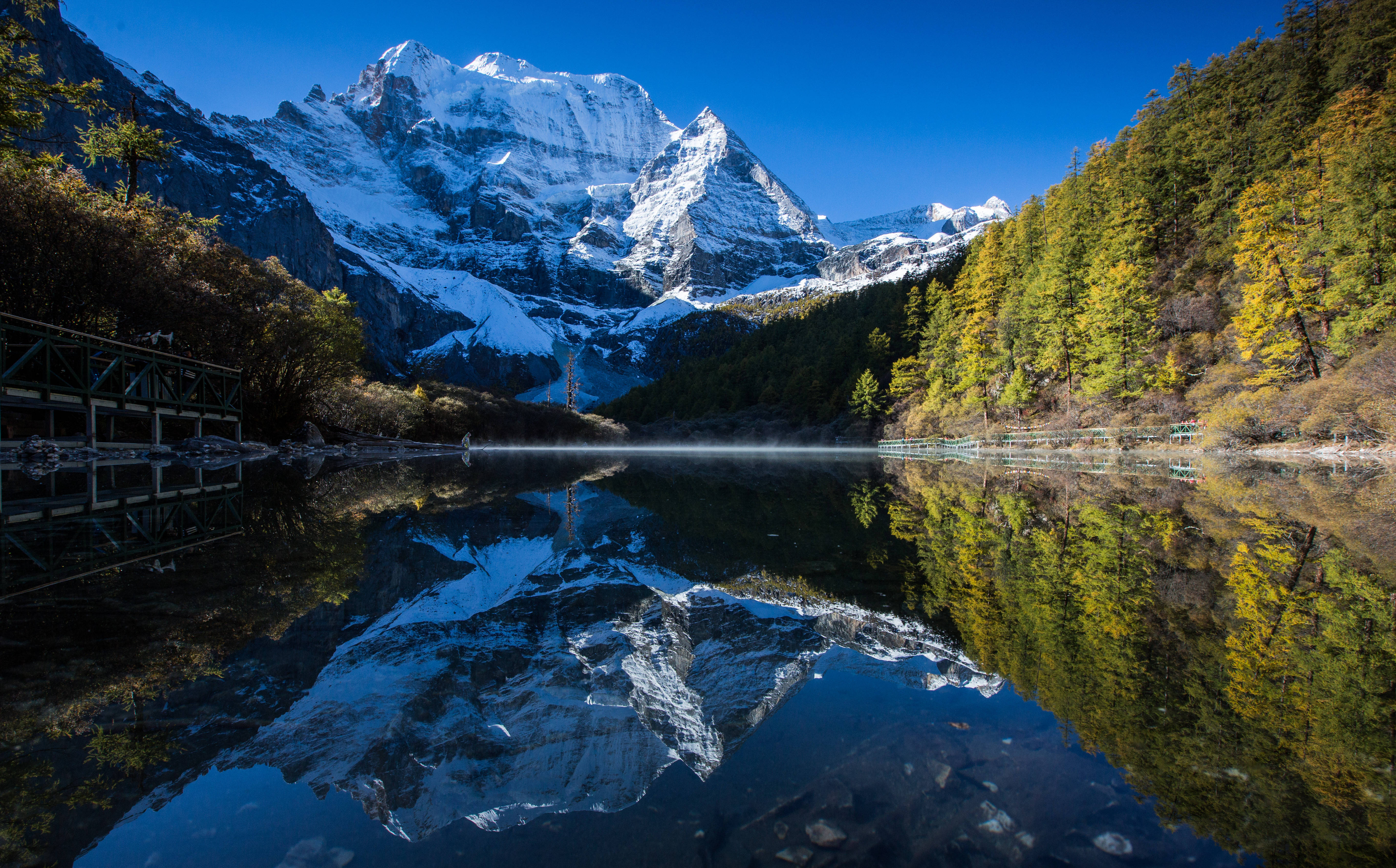 51回家的路 虽在生态丰富度上有提升空间