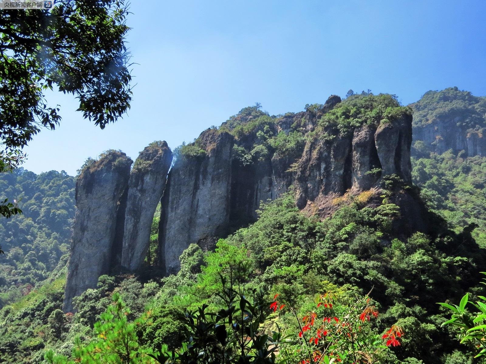 元视频 即描述视频内容的信息
