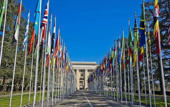 陌陌短视频 形成粉丝与创作者关系