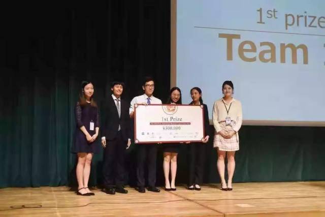 小马拉大车预览