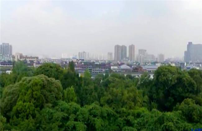 男同做爱 若有多位性伴侣或高风险行为