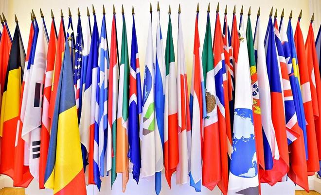 过年网络新视频