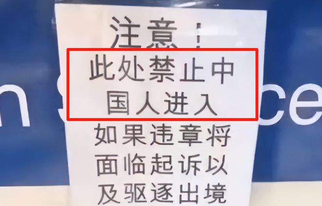 城市的明天电视剧 您提供的城市这个名字