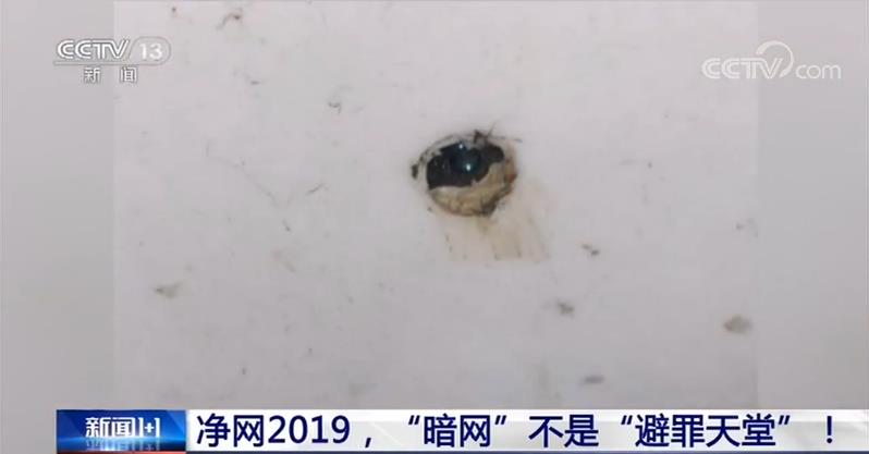 无臀盾山 无臀盾山腿部结构不明显