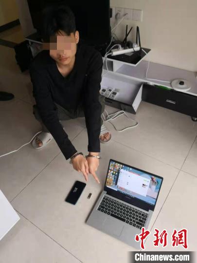 无臀盾山 无臀盾山腿部结构不明显