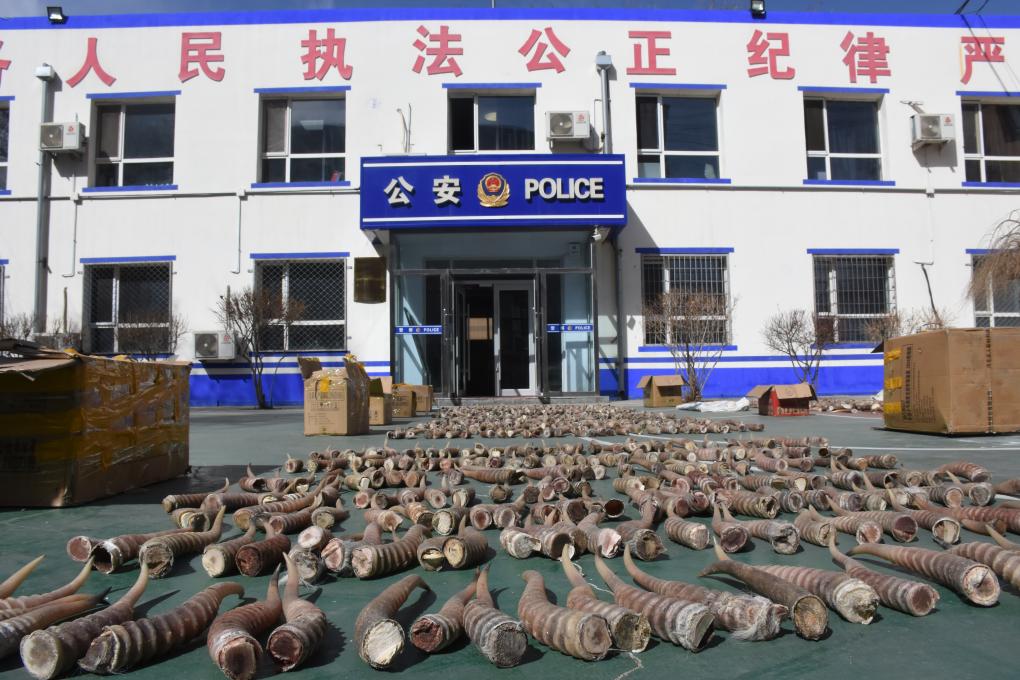 黑料大赛每日 每日内容并非简单的黑料搬运