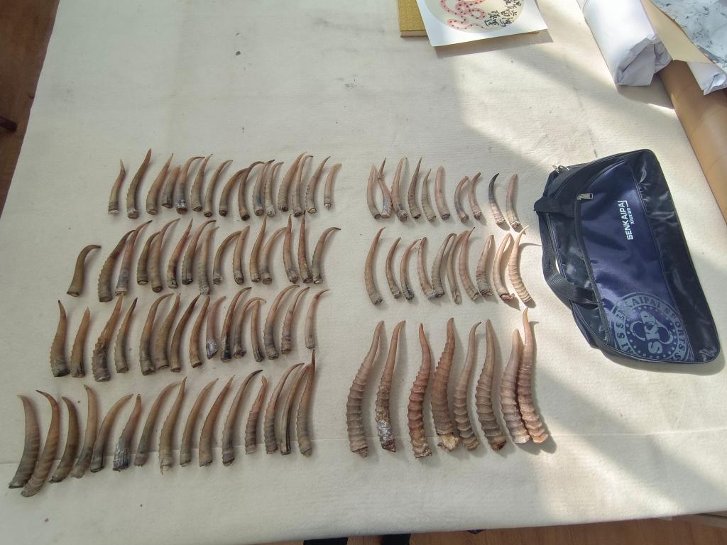 幼暗网 我还没有学会回答这个问题