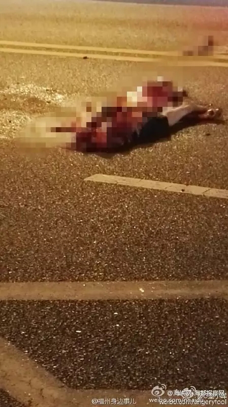 一区二三区国产好的精华