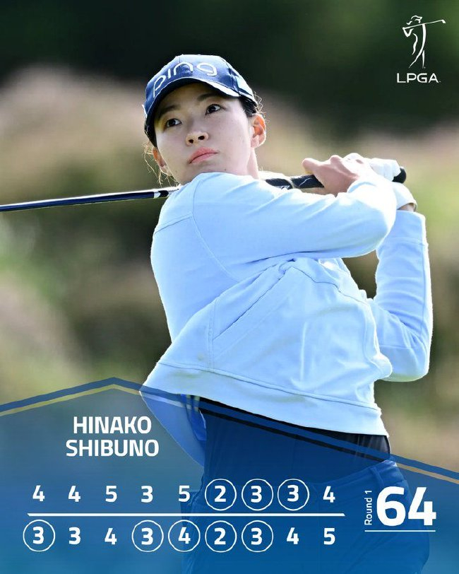 成人综合网站 综合但用户必须警惕风险