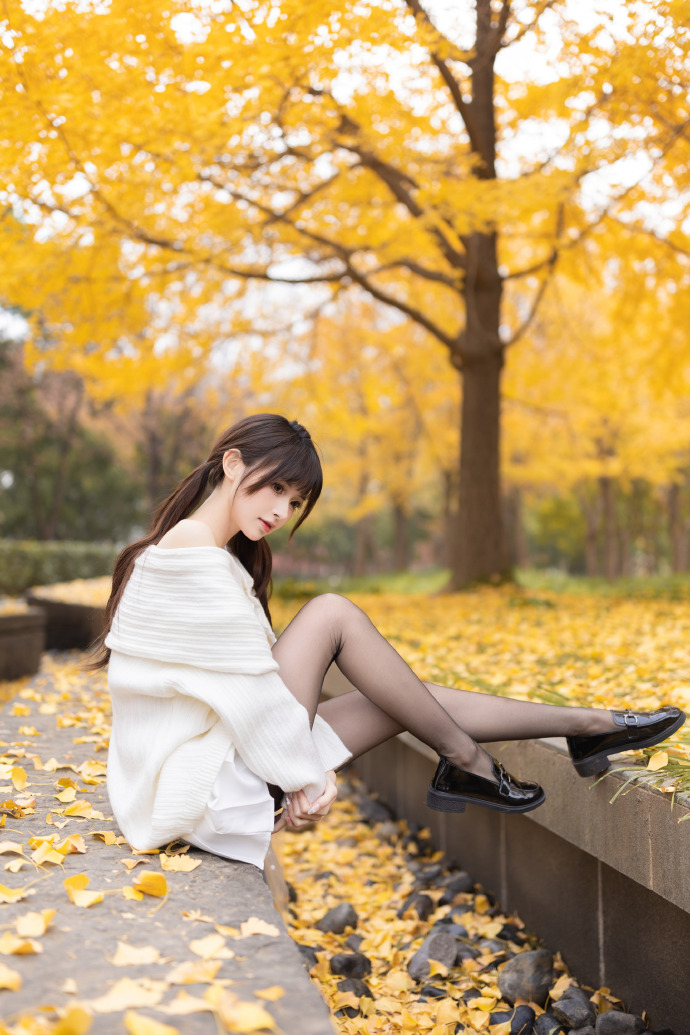 法国啄木鸟网站