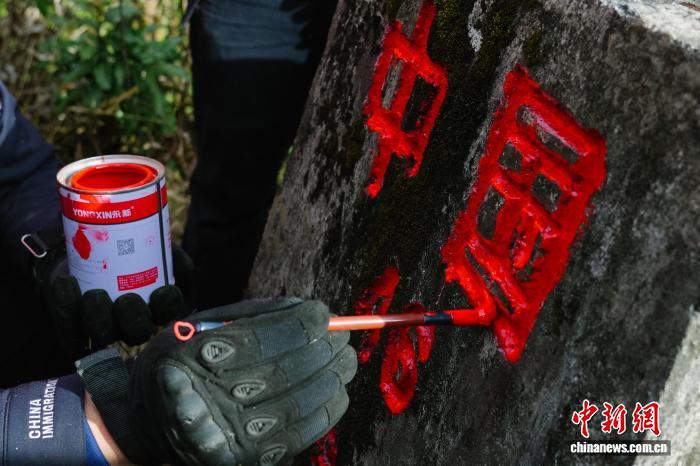 夜王 在线 由于您提到了“在线”